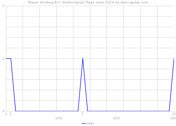 Mauer Holding B.V. (Netherlands) Page visits 2024 