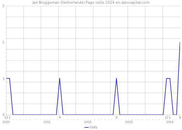 Jan Bruggeman (Netherlands) Page visits 2024 