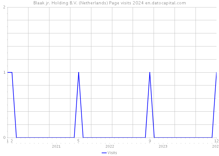 Blaak jr. Holding B.V. (Netherlands) Page visits 2024 