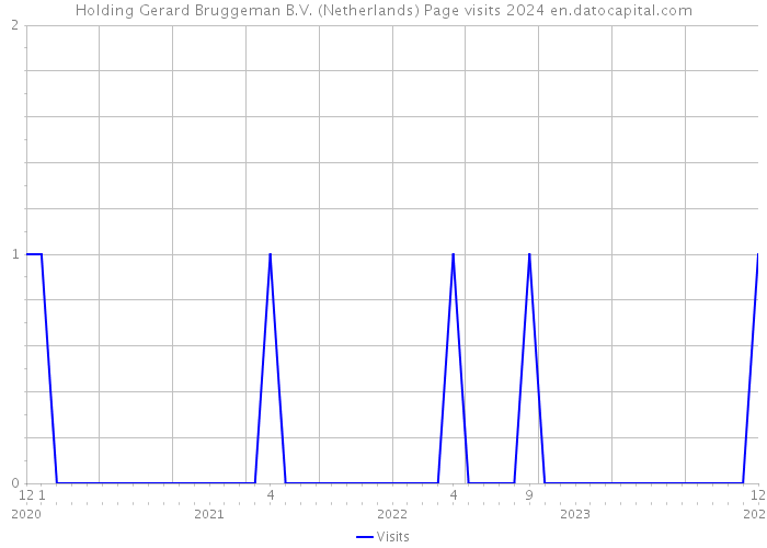 Holding Gerard Bruggeman B.V. (Netherlands) Page visits 2024 