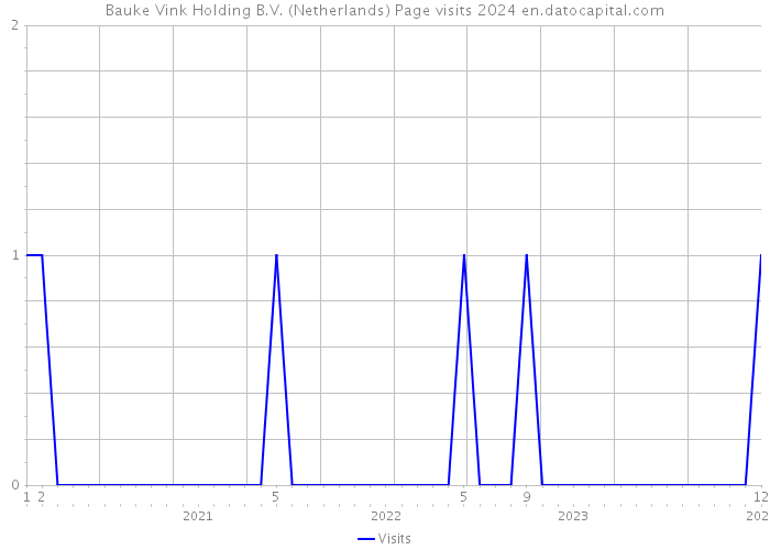 Bauke Vink Holding B.V. (Netherlands) Page visits 2024 