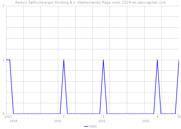 Remco Salfischberger Holding B.V. (Netherlands) Page visits 2024 