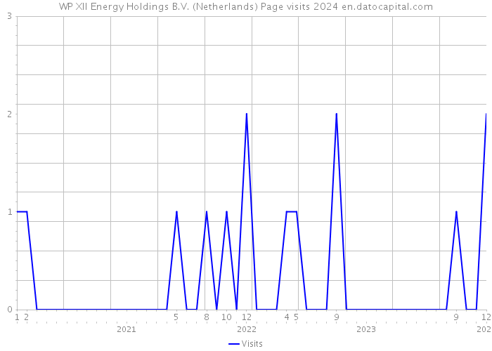 WP XII Energy Holdings B.V. (Netherlands) Page visits 2024 