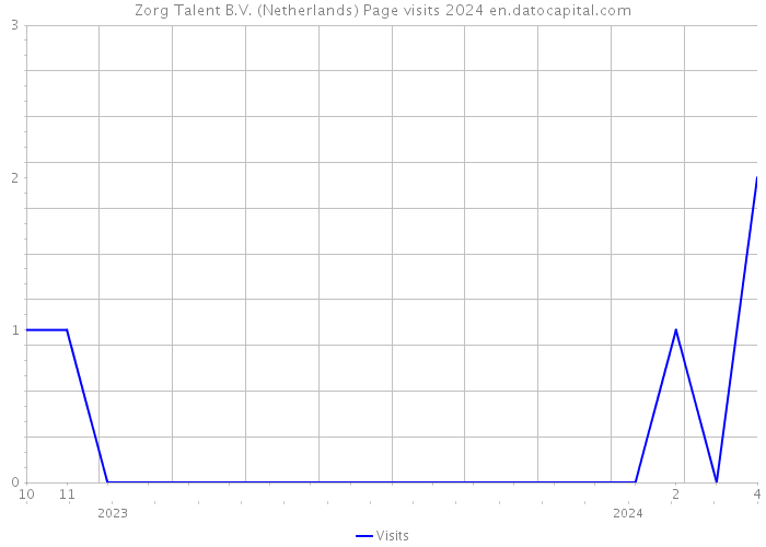 Zorg Talent B.V. (Netherlands) Page visits 2024 