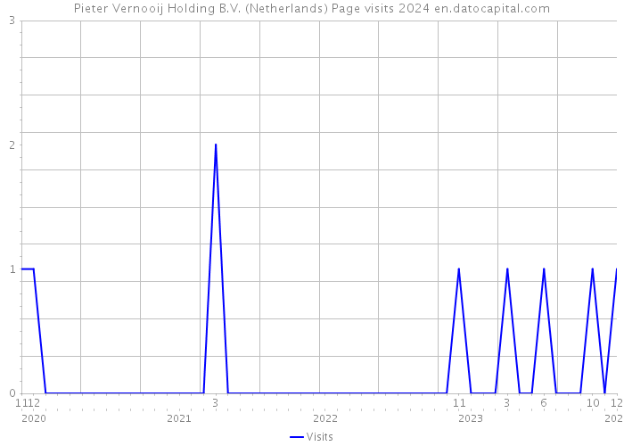 Pieter Vernooij Holding B.V. (Netherlands) Page visits 2024 