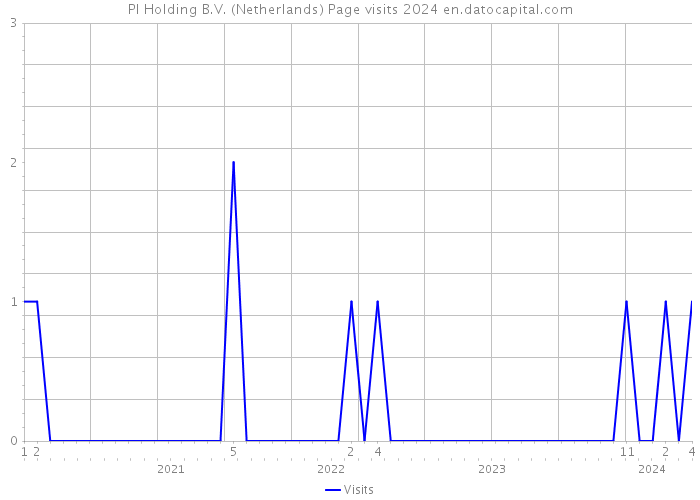 PI Holding B.V. (Netherlands) Page visits 2024 
