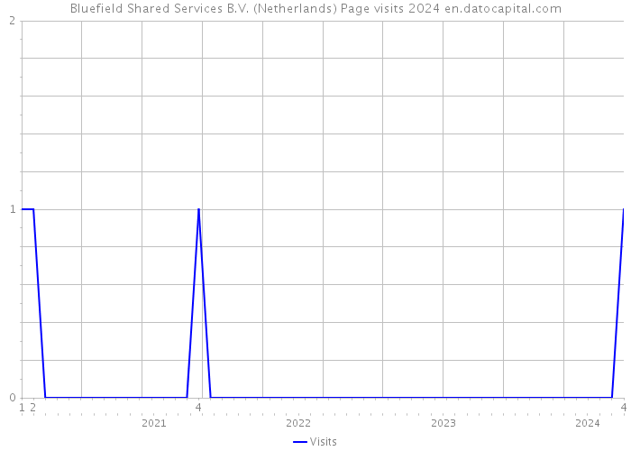 Bluefield Shared Services B.V. (Netherlands) Page visits 2024 