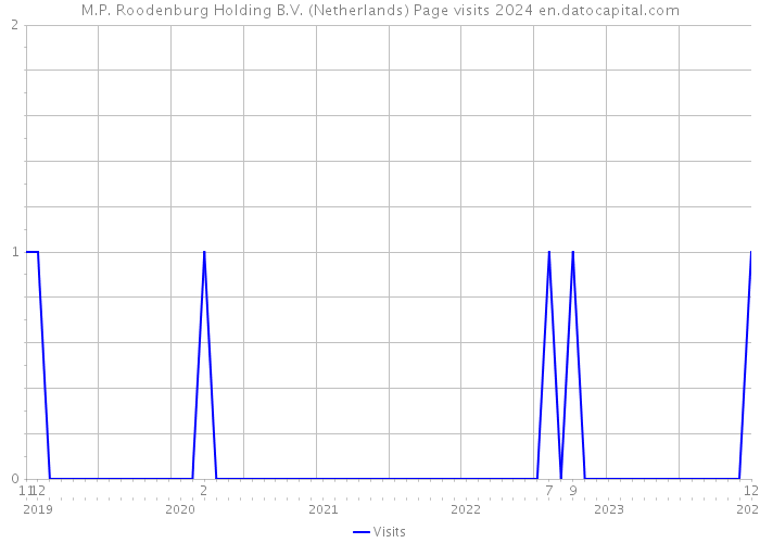 M.P. Roodenburg Holding B.V. (Netherlands) Page visits 2024 