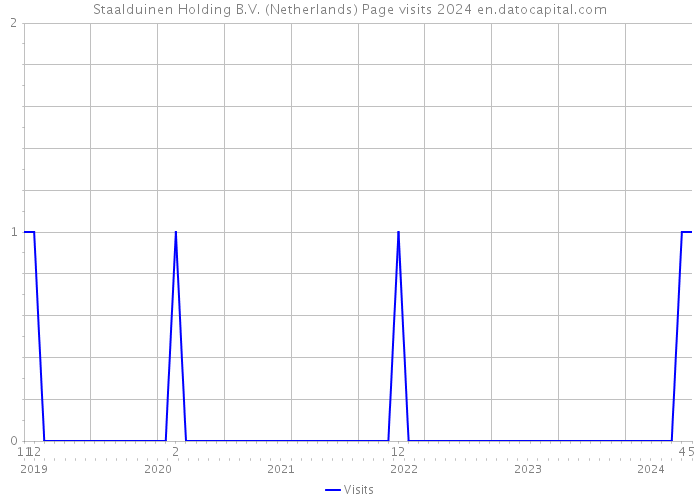Staalduinen Holding B.V. (Netherlands) Page visits 2024 