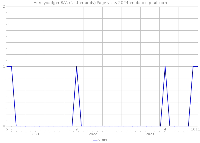 Honeybadger B.V. (Netherlands) Page visits 2024 