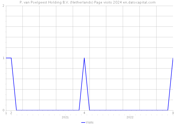 P. van Poelgeest Holding B.V. (Netherlands) Page visits 2024 