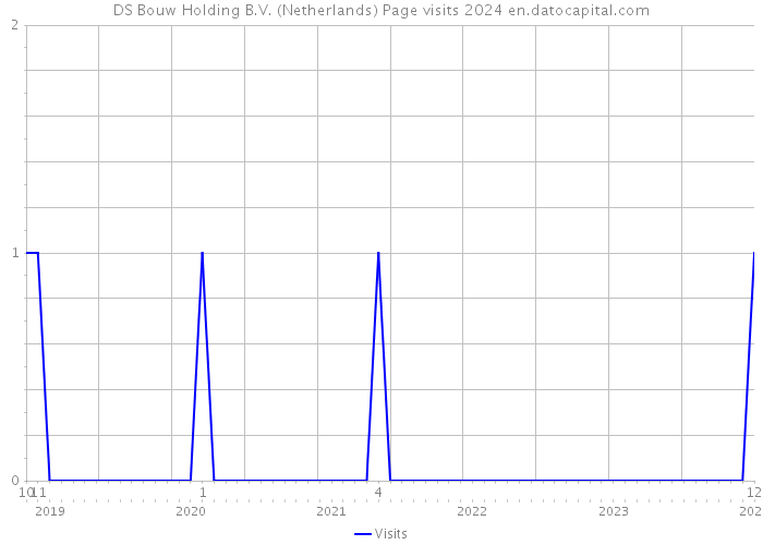 DS Bouw Holding B.V. (Netherlands) Page visits 2024 