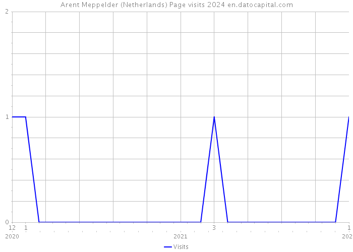 Arent Meppelder (Netherlands) Page visits 2024 
