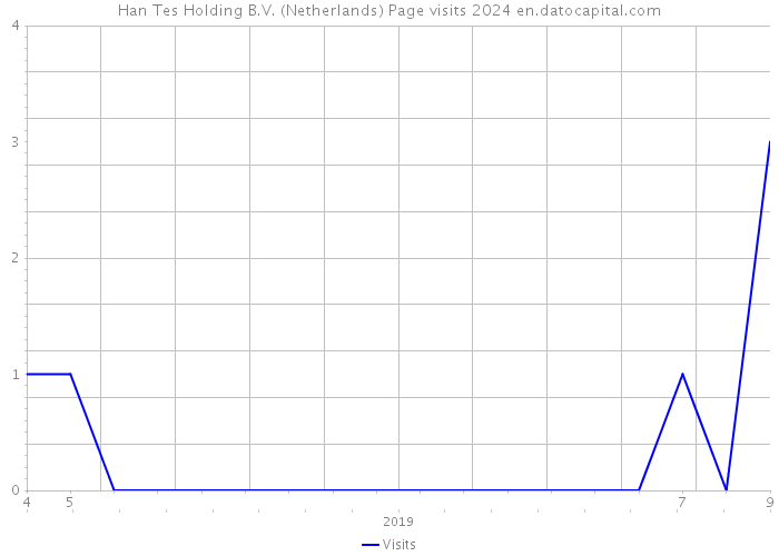 Han Tes Holding B.V. (Netherlands) Page visits 2024 