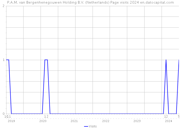 P.A.M. van Bergenhenegouwen Holding B.V. (Netherlands) Page visits 2024 