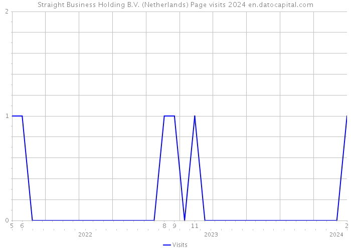 Straight Business Holding B.V. (Netherlands) Page visits 2024 