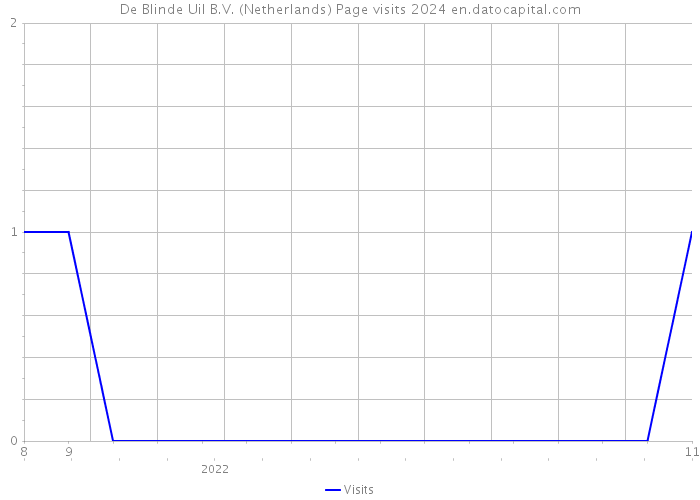 De Blinde Uil B.V. (Netherlands) Page visits 2024 