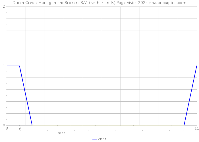 Dutch Credit Management Brokers B.V. (Netherlands) Page visits 2024 