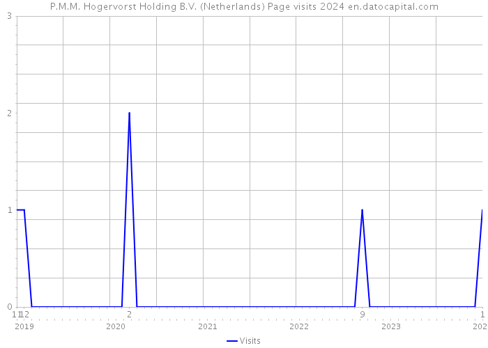 P.M.M. Hogervorst Holding B.V. (Netherlands) Page visits 2024 