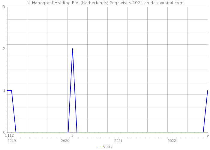 N. Hanegraaf Holding B.V. (Netherlands) Page visits 2024 