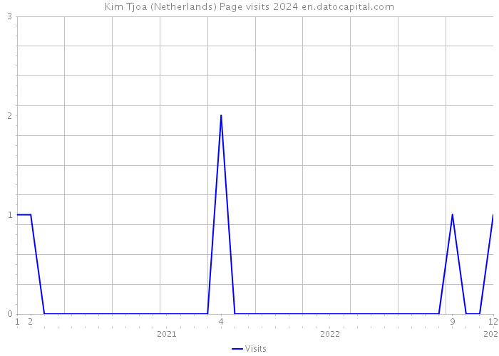 Kim Tjoa (Netherlands) Page visits 2024 