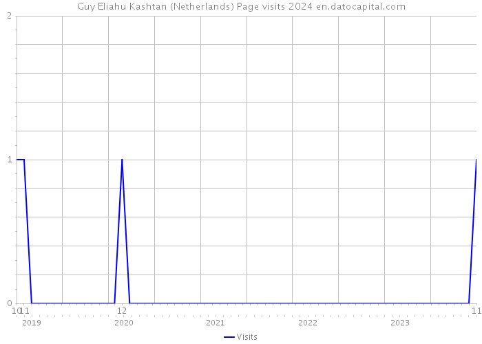Guy Eliahu Kashtan (Netherlands) Page visits 2024 