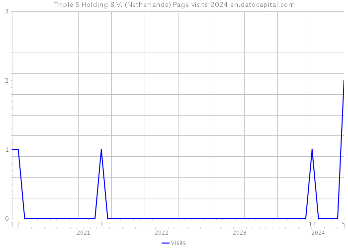 Triple S Holding B.V. (Netherlands) Page visits 2024 