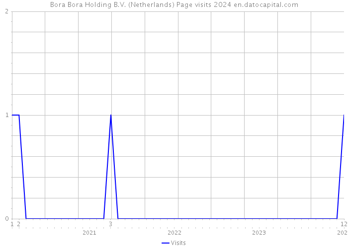 Bora Bora Holding B.V. (Netherlands) Page visits 2024 