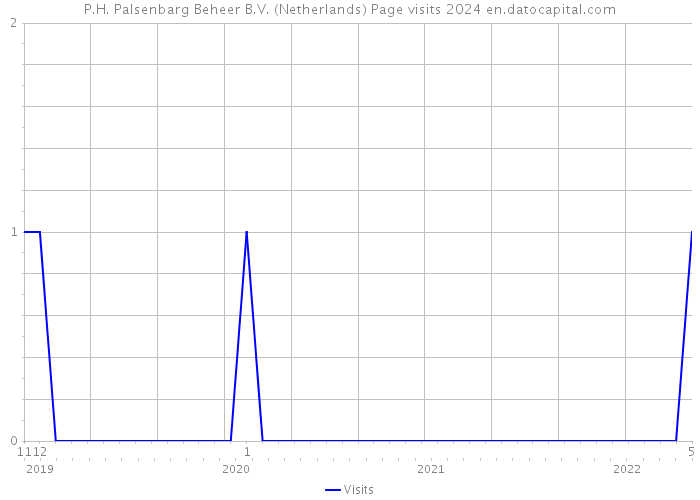 P.H. Palsenbarg Beheer B.V. (Netherlands) Page visits 2024 