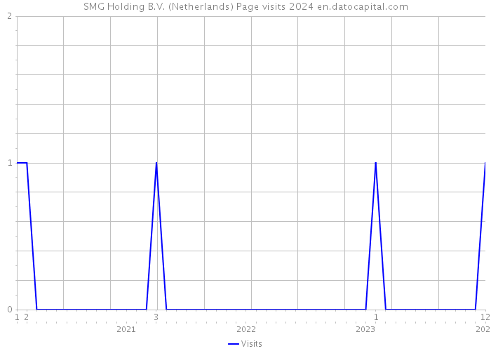 SMG Holding B.V. (Netherlands) Page visits 2024 