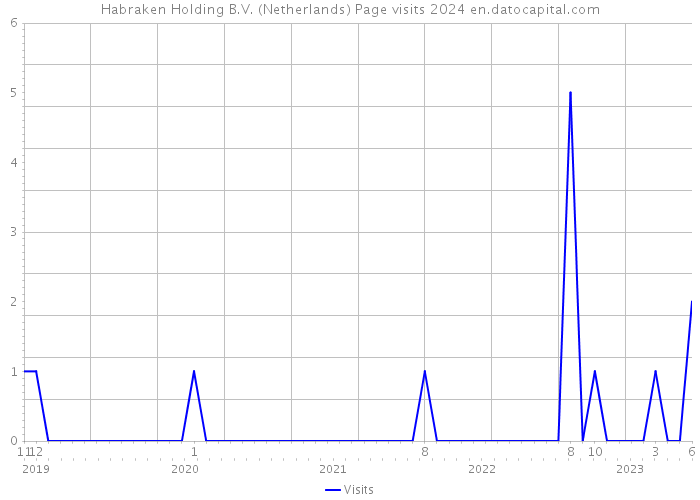 Habraken Holding B.V. (Netherlands) Page visits 2024 