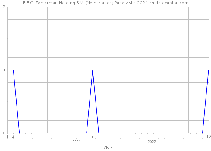 F.E.G. Zomerman Holding B.V. (Netherlands) Page visits 2024 