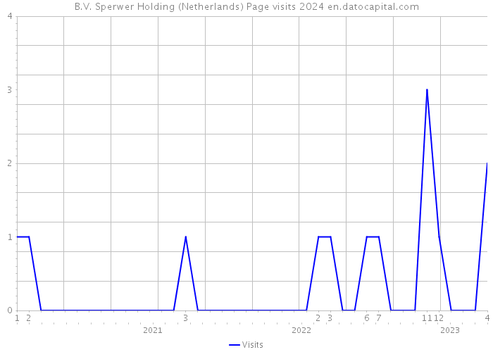B.V. Sperwer Holding (Netherlands) Page visits 2024 