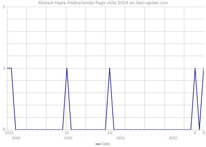 Rüstem Hayta (Netherlands) Page visits 2024 