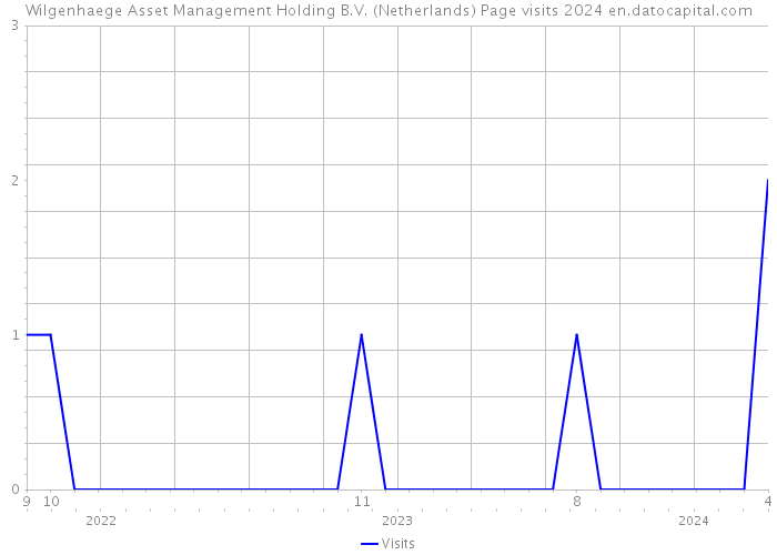 Wilgenhaege Asset Management Holding B.V. (Netherlands) Page visits 2024 