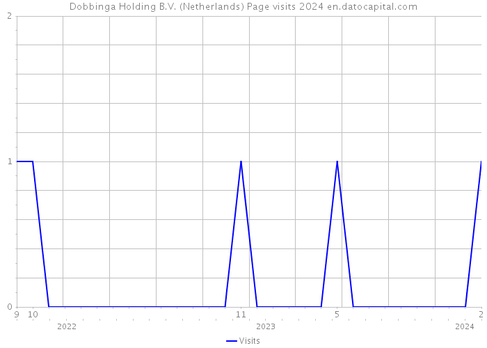 Dobbinga Holding B.V. (Netherlands) Page visits 2024 