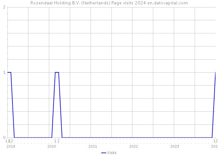 Rozendaal Holding B.V. (Netherlands) Page visits 2024 