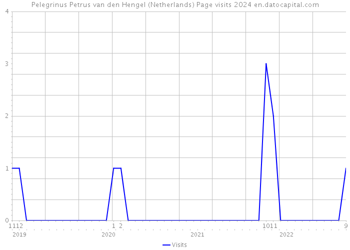 Pelegrinus Petrus van den Hengel (Netherlands) Page visits 2024 