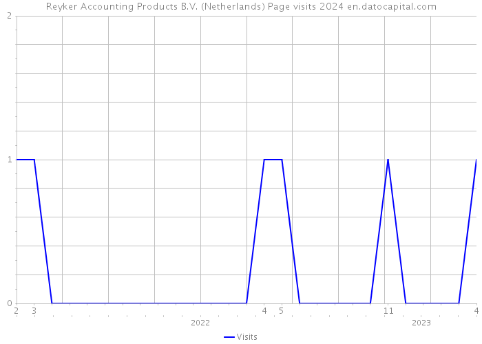 Reyker Accounting Products B.V. (Netherlands) Page visits 2024 