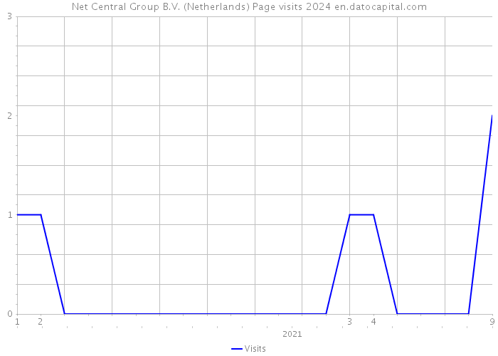 Net Central Group B.V. (Netherlands) Page visits 2024 
