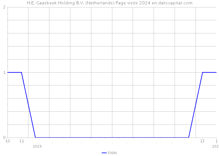 H.E. Gaasbeek Holding B.V. (Netherlands) Page visits 2024 
