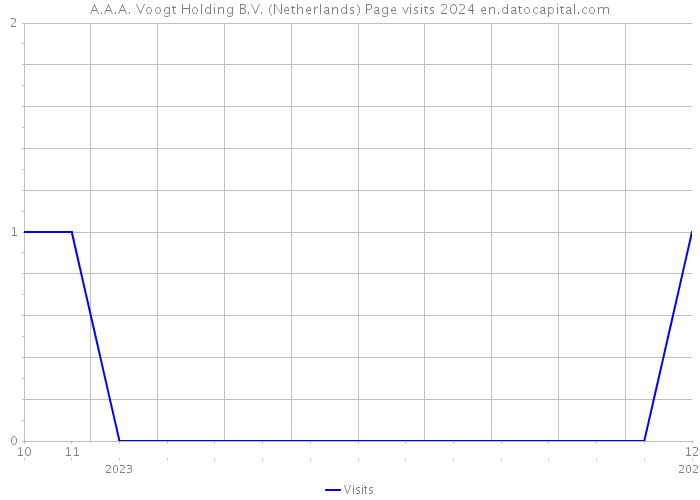 A.A.A. Voogt Holding B.V. (Netherlands) Page visits 2024 