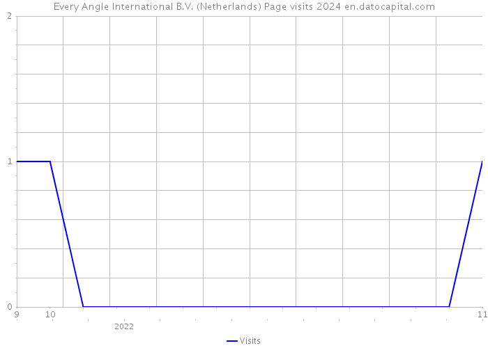 Every Angle International B.V. (Netherlands) Page visits 2024 