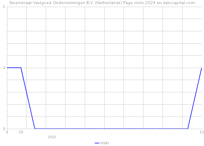 Steenstraat Vastgoed Ondernemingen B.V. (Netherlands) Page visits 2024 