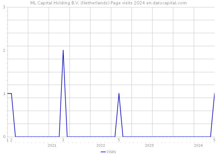 ML Capital Holding B.V. (Netherlands) Page visits 2024 