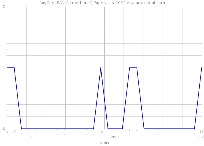 RayCom B.V. (Netherlands) Page visits 2024 
