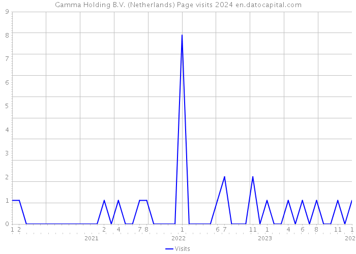 Gamma Holding B.V. (Netherlands) Page visits 2024 