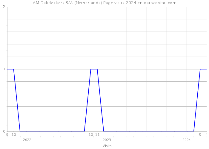 AM Dakdekkers B.V. (Netherlands) Page visits 2024 