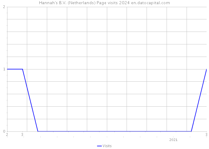 Hannah's B.V. (Netherlands) Page visits 2024 