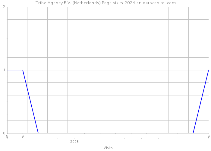 Tribe Agency B.V. (Netherlands) Page visits 2024 